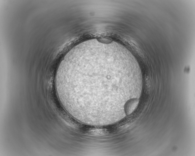X0000093590499200711051141