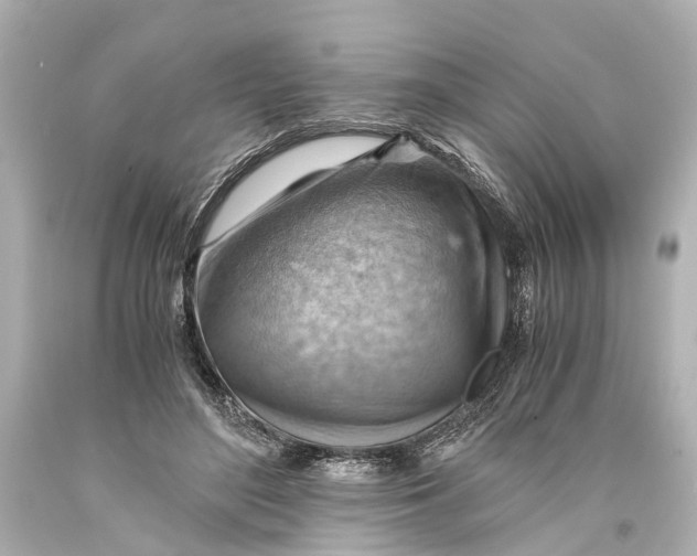 X0000093590500200711051141