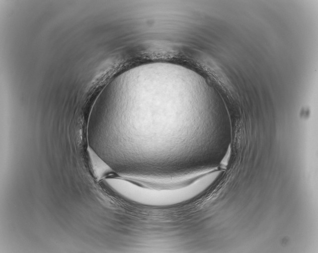 X0000093590501200711051141