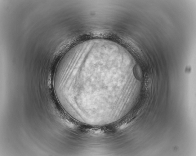 X0000093590502200711051140