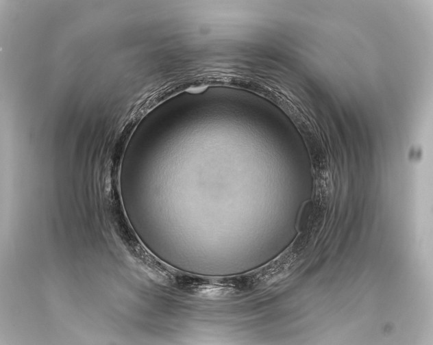 X0000093590504200711051140