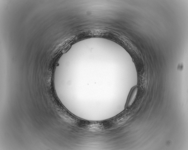 X0000093590505200711051140