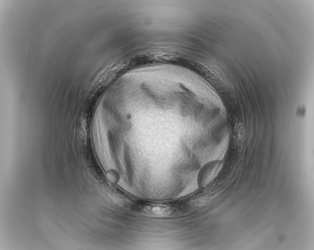 X0000093590506200711051140