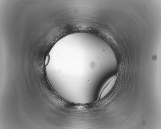 X0000093590509200711051140