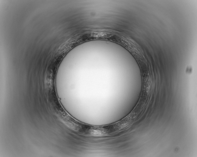 X0000093590510200711051140