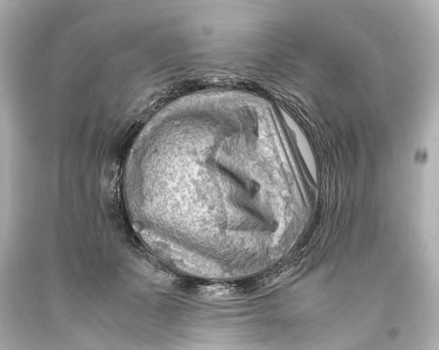 X0000093590511200711051140