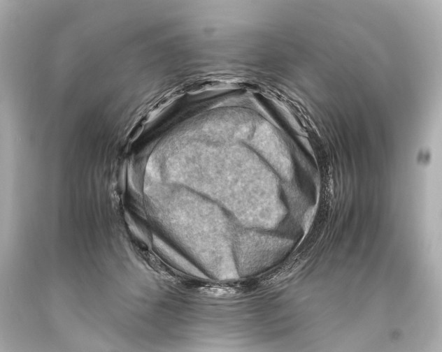 X0000093590512200711051140
