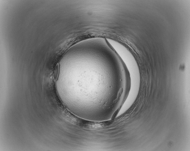 X0000093590513200711051140
