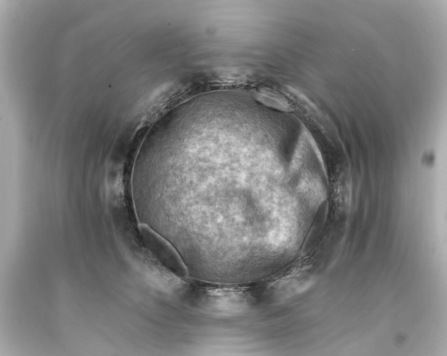 X0000093590516200711051140