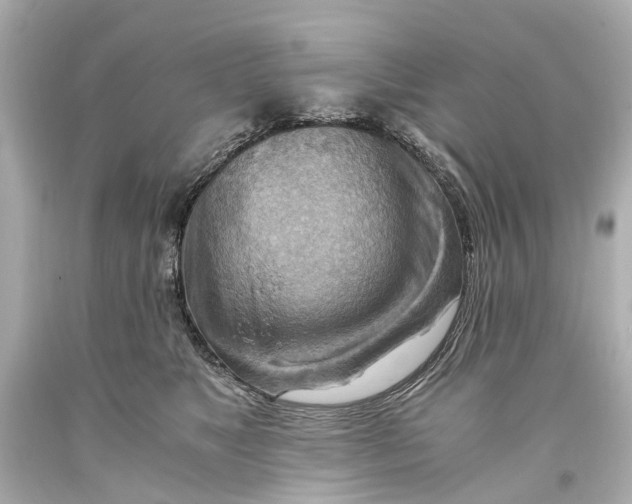 X0000093590517200711051140