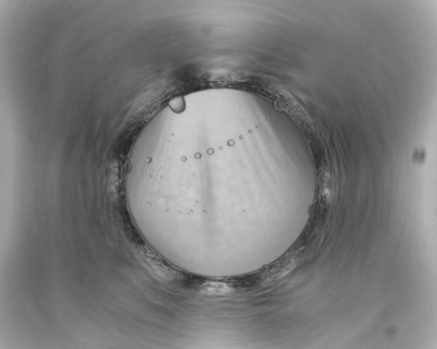 X0000093590519200711051140