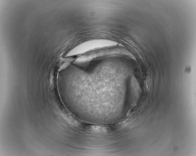 X0000093590520200711051140