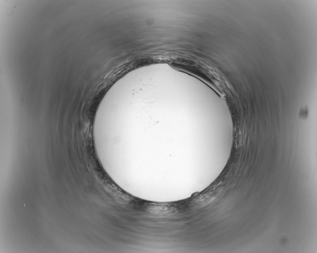 X0000093590521200711051140