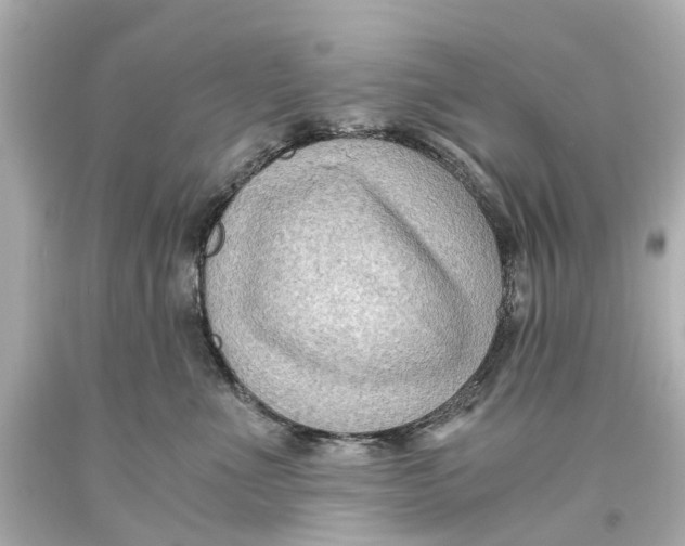 X0000093590523200711051140