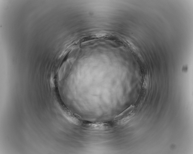 X0000093590524200711051140