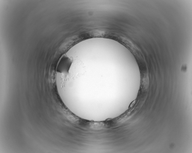 X0000093590525200711051140