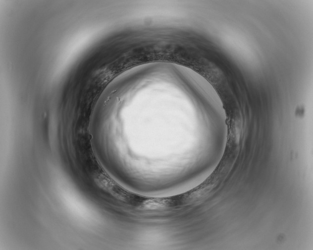 X0000093590526200711051140