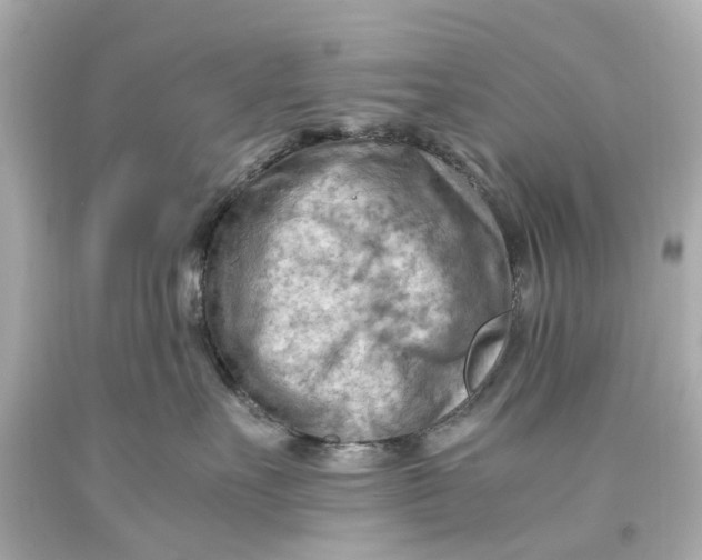 X0000093590527200711051140