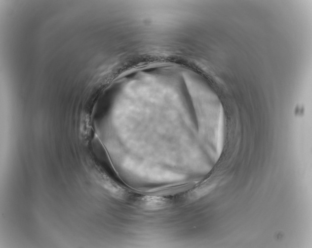 X0000093590528200711051140