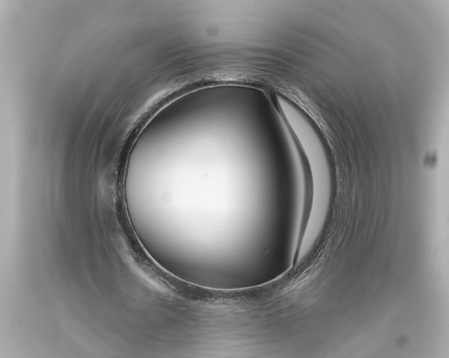X0000093590530200711051140