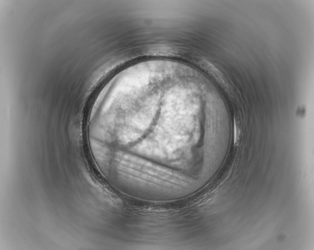 X0000093590531200711051140