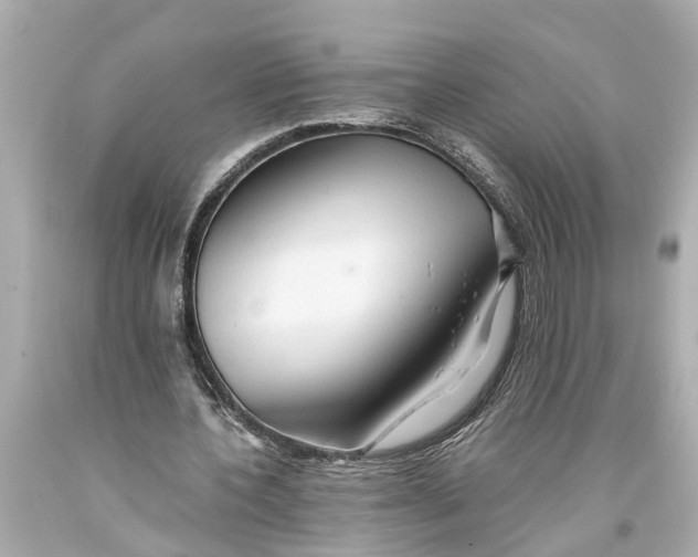 X0000093590532200711051140