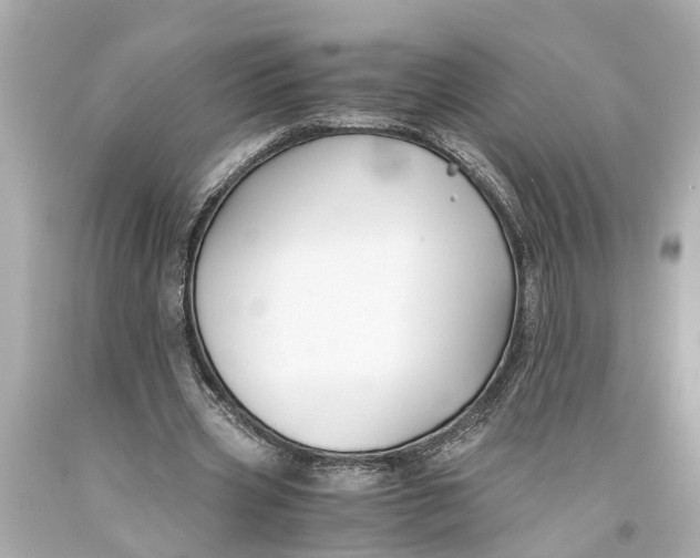 X0000093590533200711051140
