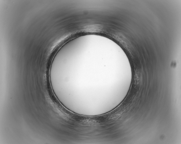 X0000093590535200711051140