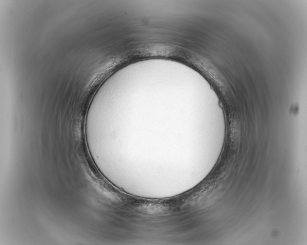 X0000093590537200711051140