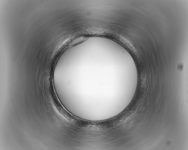X0000093590538200711051140