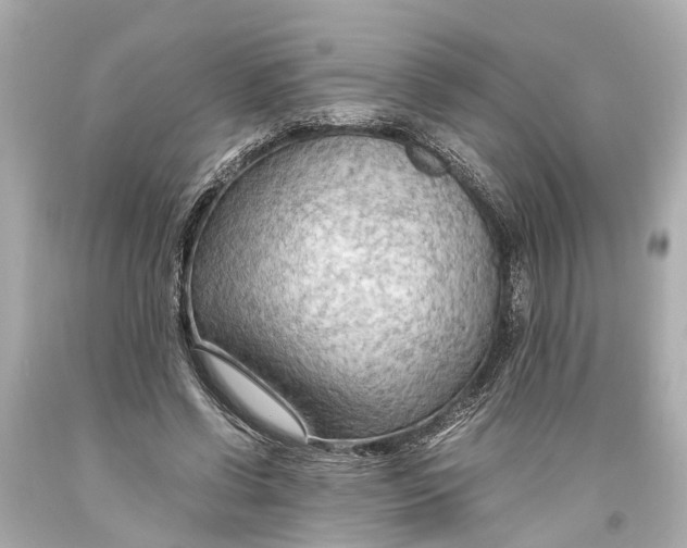 X0000093590542200711051140