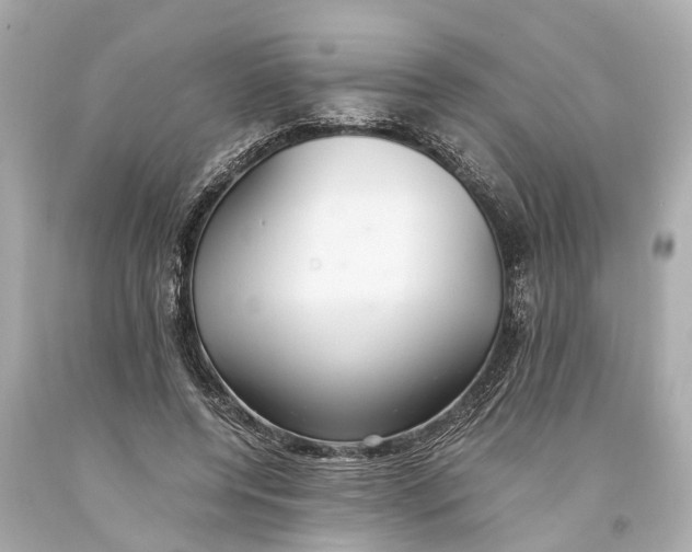 X0000093590544200711051140
