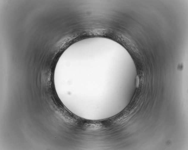 X0000093590548200711051140