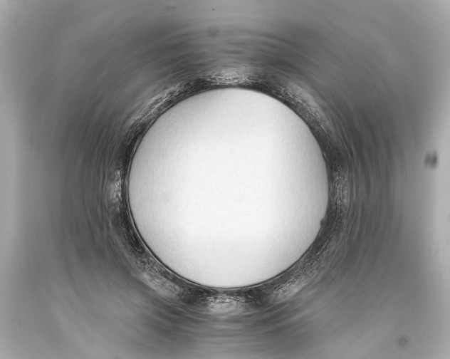 X0000093590549200711051140