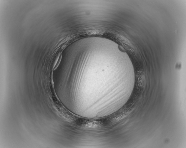 X0000093590550200711051140