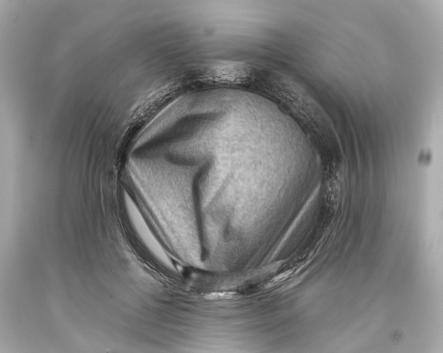 X0000093590552200711051140