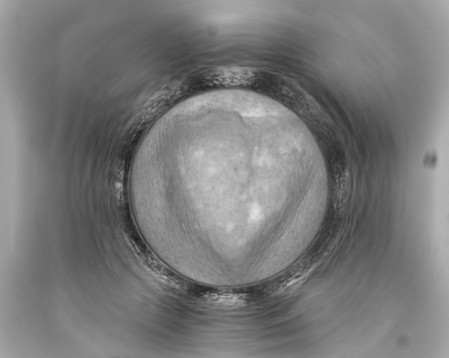 X0000093590553200711051140