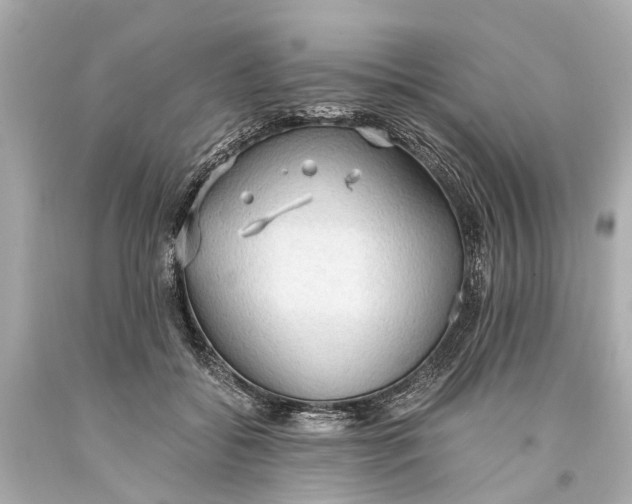 X0000093590556200711051140