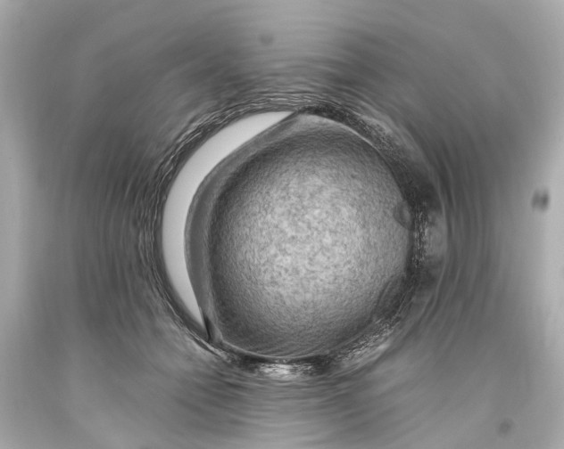 X0000093590558200711051140