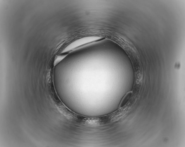 X0000093590560200711051140