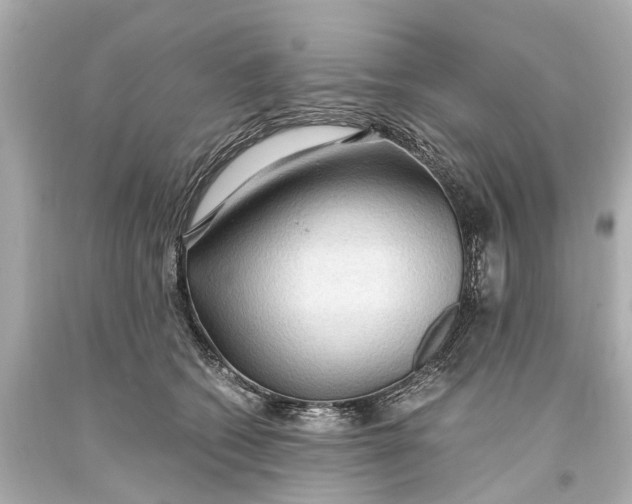 X0000093590562200711051140