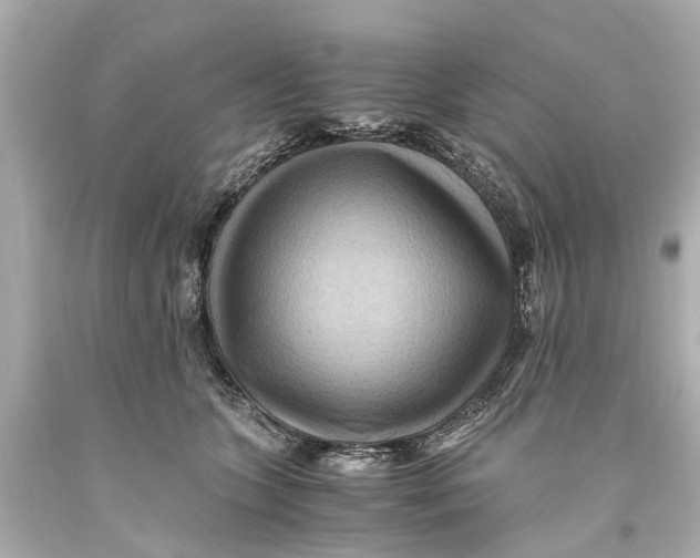 X0000093590563200711051140