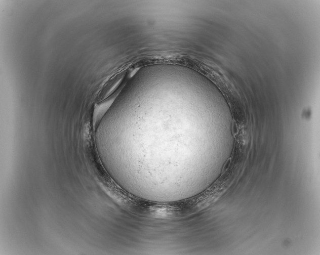 X0000093590564200711051140