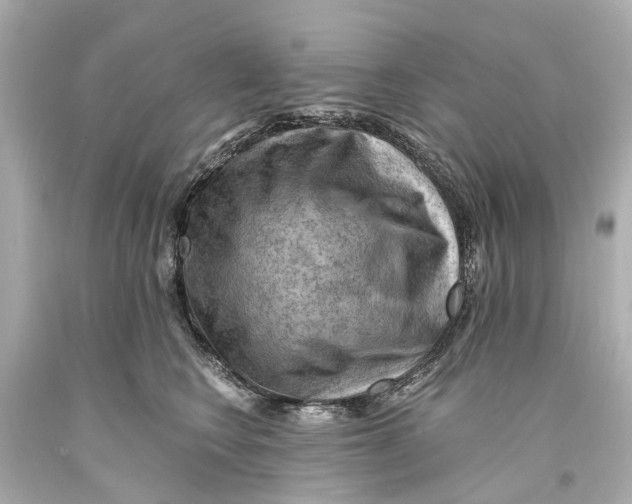 X0000093590566200711051140