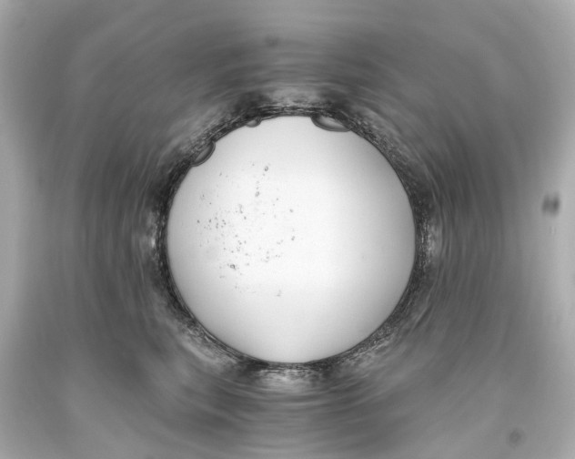 X0000093590567200711051140