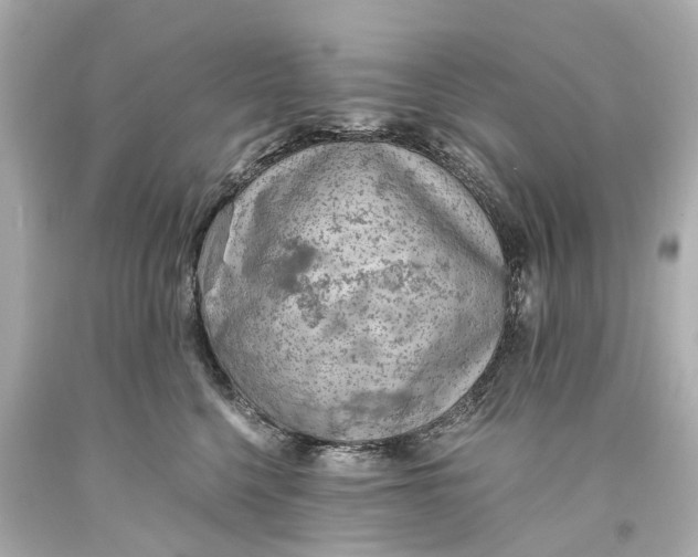 X0000093590568200711051140
