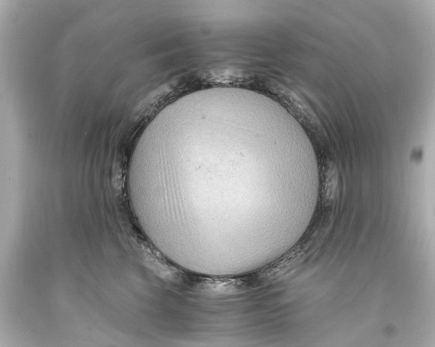 X0000093590569200711051140