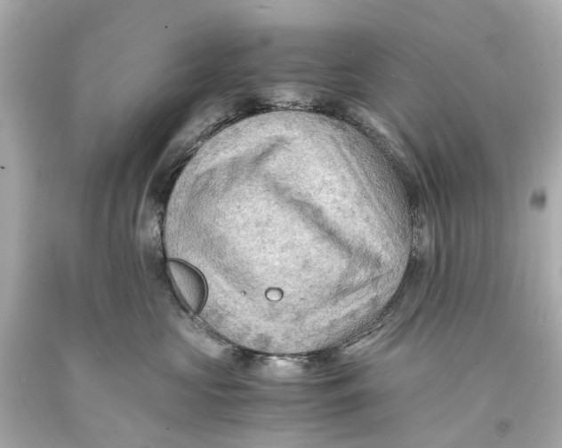 X0000093590573200711051140