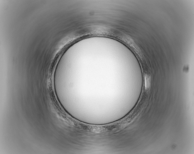 X0000093590579200711051140