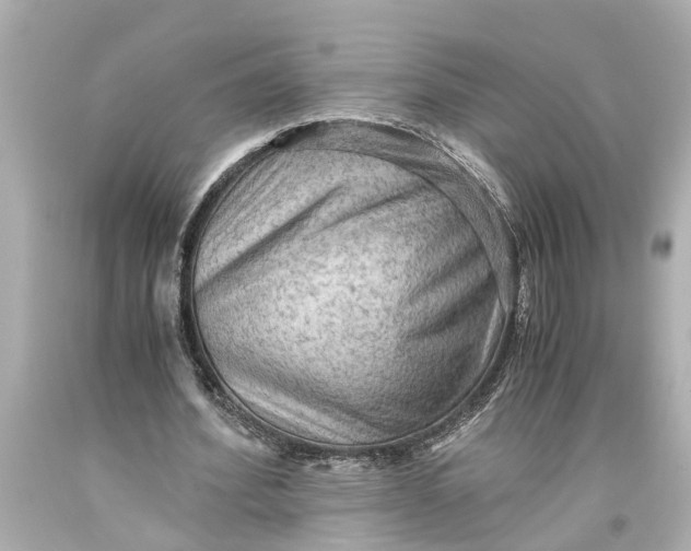 X0000093590580200711051140
